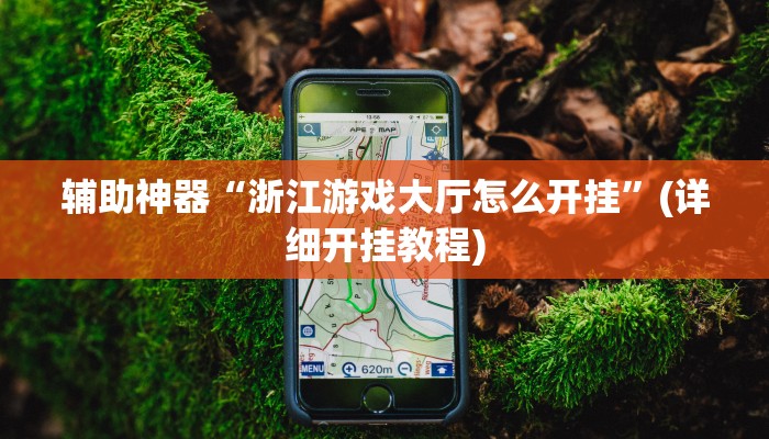 辅助神器“浙江游戏大厅怎么开挂”(详细开挂教程)