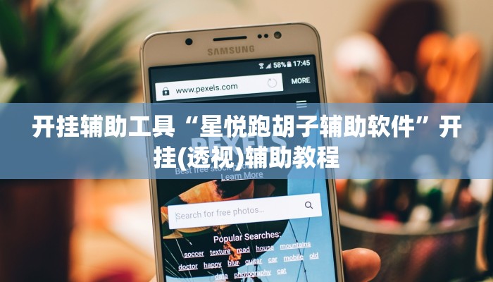 开挂辅助工具“星悦跑胡子辅助软件”开挂(透视)辅助教程