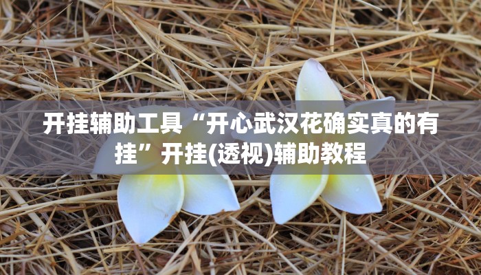 开挂辅助工具“开心武汉花确实真的有挂”开挂(透视)辅助教程