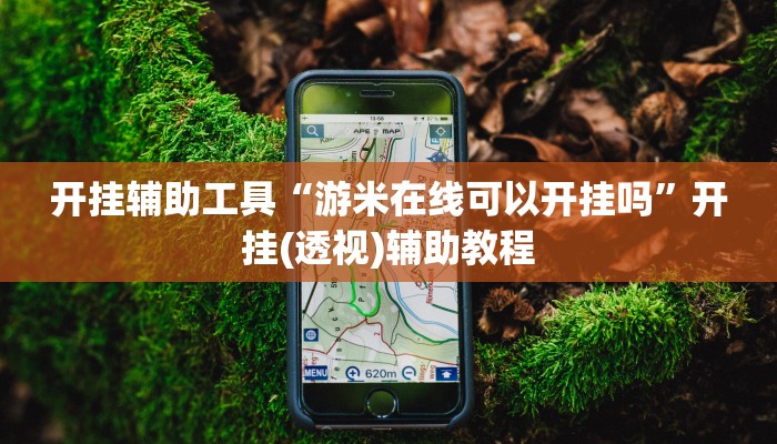 开挂辅助工具“游米在线可以开挂吗”开挂(透视)辅助教程