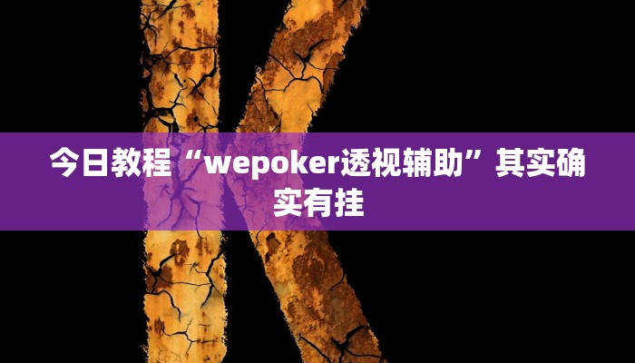 今日教程“wepoker透视辅助”其实确实有挂