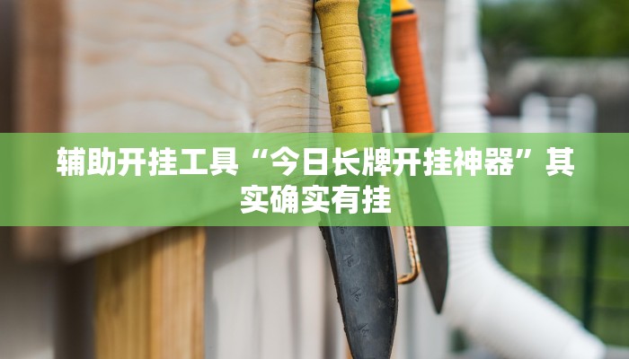 玩家必看教程“微乐陕西挖坑开挂神器”(原来确实是有挂)