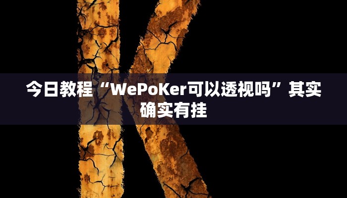 今日教程“WePoKer可以透视吗”其实确实有挂