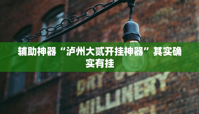 辅助神器“泸州大贰开挂神器”其实确实有挂