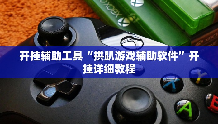 开挂辅助工具“拱趴游戏辅助软件”开挂详细教程