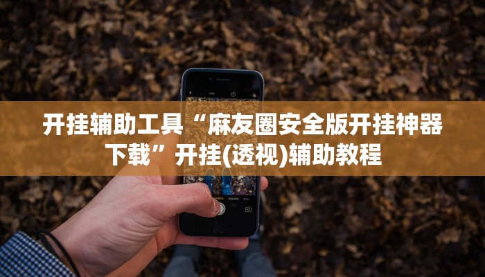 开挂辅助工具“麻友圈安全版开挂神器下载”开挂(透视)辅助教程