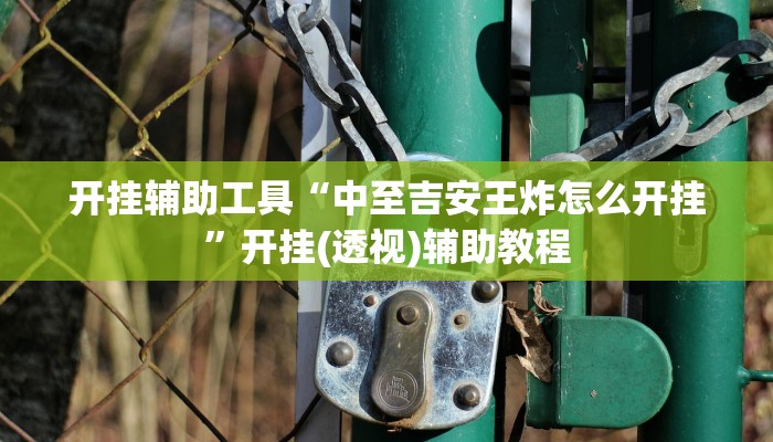 开挂辅助工具“中至吉安王炸怎么开挂”开挂(透视)辅助教程