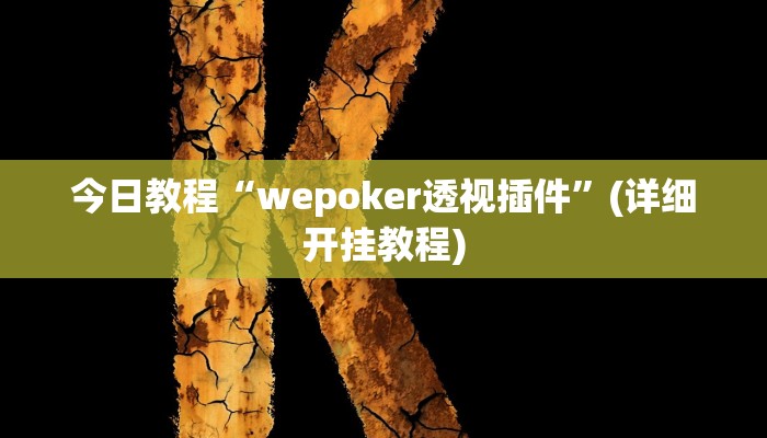 今日教程“wepoker透视插件”(详细开挂教程)