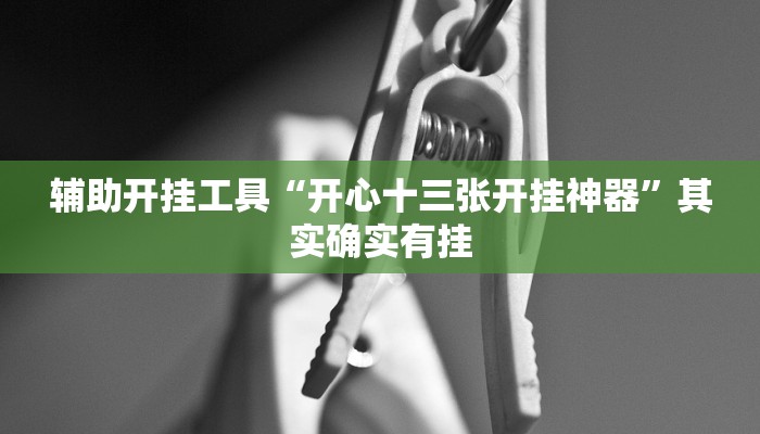 辅助开挂工具“开心十三张开挂神器”其实确实有挂