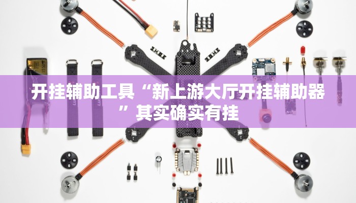 开挂辅助工具“新上游大厅开挂辅助器”其实确实有挂