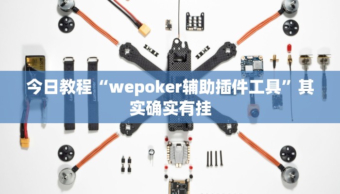 今日教程“wepoker辅助插件工具”其实确实有挂