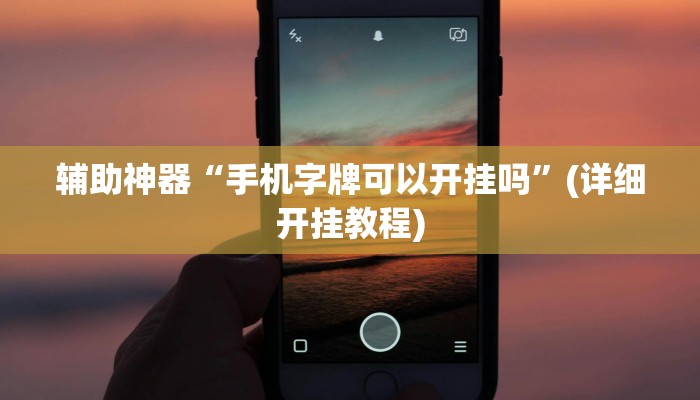 辅助神器“手机字牌可以开挂吗”(详细开挂教程)