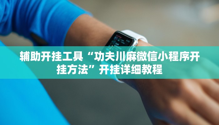 辅助开挂工具“功夫川麻微信小程序开挂方法”开挂详细教程