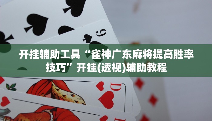 开挂辅助工具“雀神广东麻将提高胜率技巧”开挂(透视)辅助教程