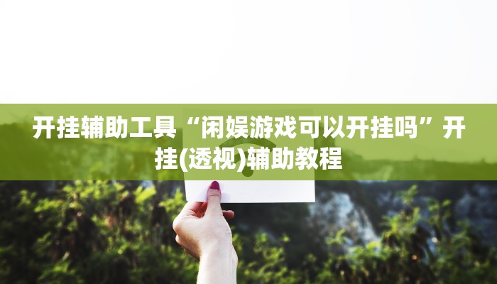 开挂辅助工具“闲娱游戏可以开挂吗”开挂(透视)辅助教程