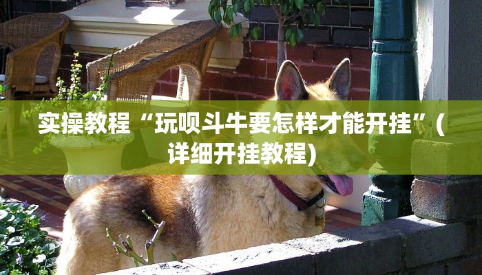 玩家必看教程“打两圈兴化麻将确实真的有挂”开挂(透视)辅助教程