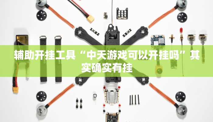辅助开挂工具“中天游戏可以开挂吗”其实确实有挂