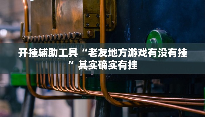 开挂辅助工具“老友地方游戏有没有挂”其实确实有挂