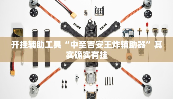 开挂辅助工具“中至吉安王炸辅助器”其实确实有挂