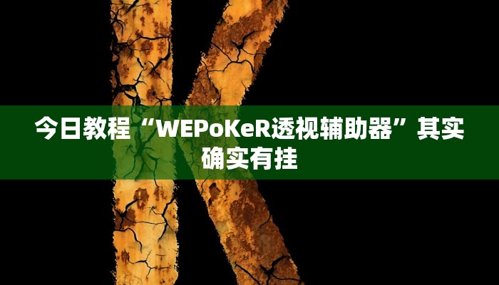 今日教程“WEPoKeR透视辅助器”其实确实有挂