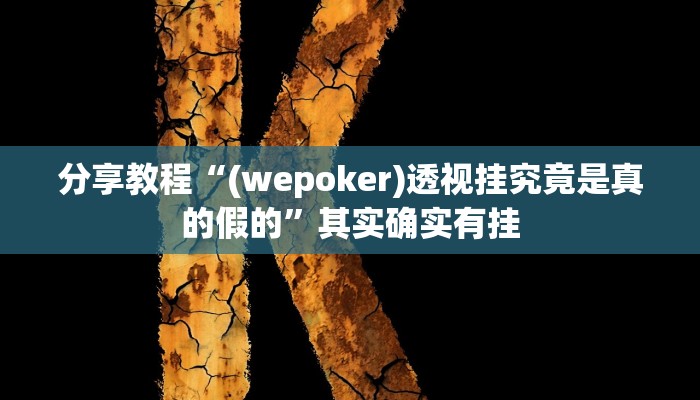 分享教程“(wepoker)透视挂究竟是真的假的”其实确实有挂