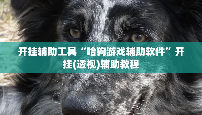 今日教程“微乐湖南麻将开挂神器”(详细开挂教程)