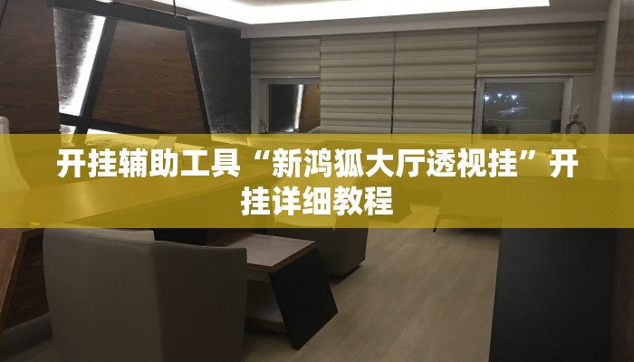 开挂辅助工具“新鸿狐大厅透视挂”开挂详细教程