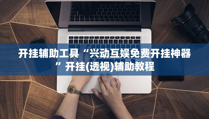 开挂辅助工具“兴动互娱免费开挂神器”开挂(透视)辅助教程