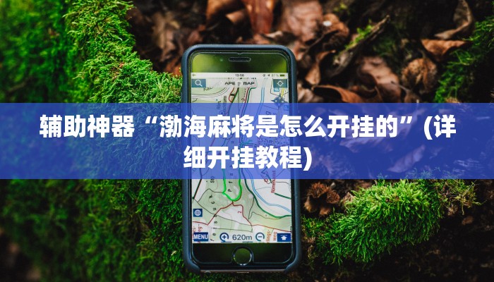 辅助神器“渤海麻将是怎么开挂的”(详细开挂教程)