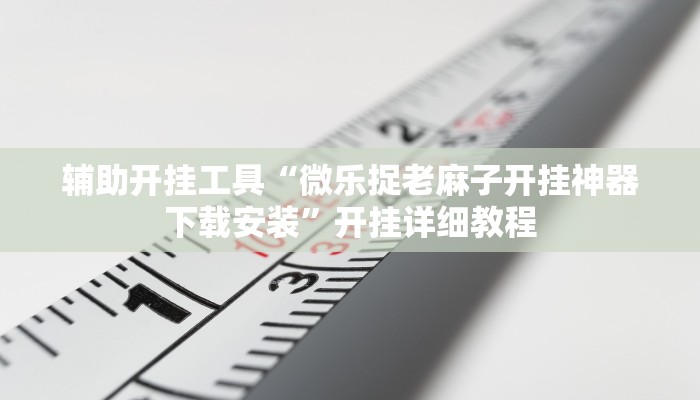 辅助开挂工具“微乐捉老麻子开挂神器下载安装”开挂详细教程