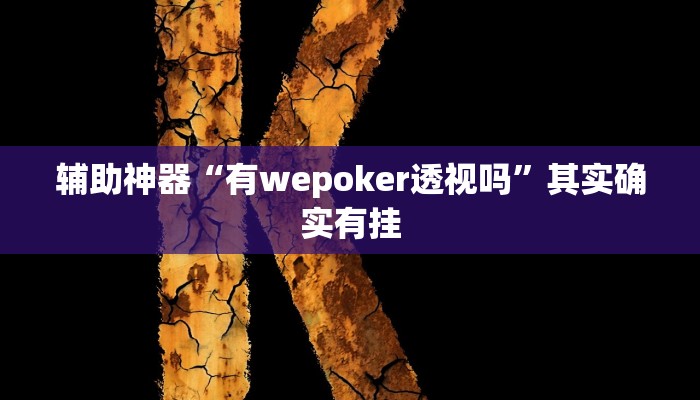 辅助神器“有wepoker透视吗”其实确实有挂