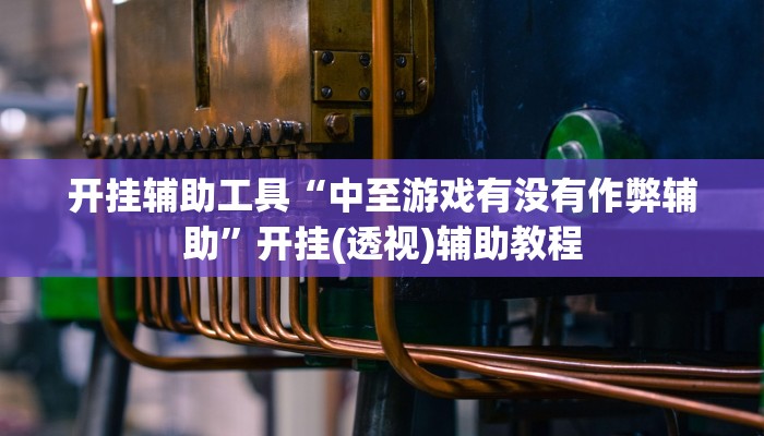 开挂辅助工具“中至游戏有没有作弊辅助”开挂(透视)辅助教程