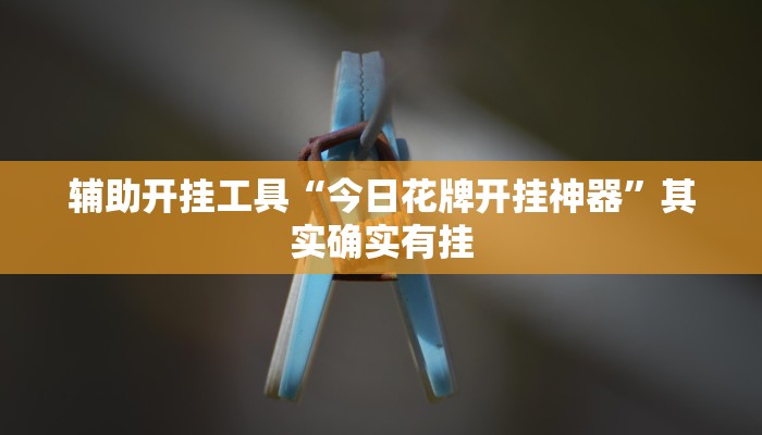 辅助开挂工具“今日花牌开挂神器”其实确实有挂