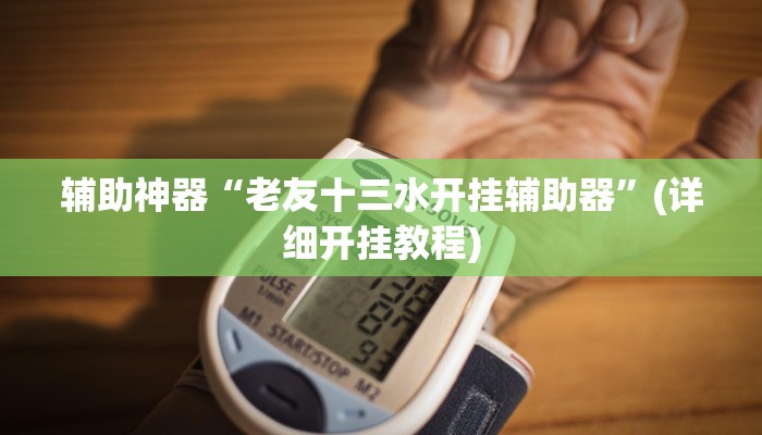 辅助神器“老友十三水开挂辅助器”(详细开挂教程)