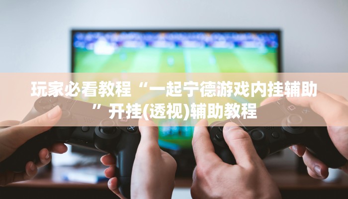 玩家必看教程“一起宁德游戏内挂辅助”开挂(透视)辅助教程