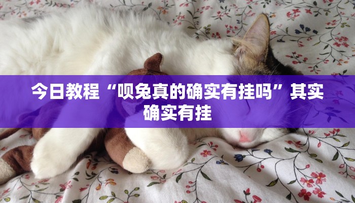 今日教程“呗兔真的确实有挂吗”其实确实有挂