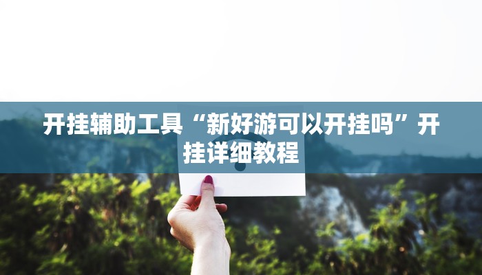 开挂辅助工具“新好游可以开挂吗”开挂详细教程