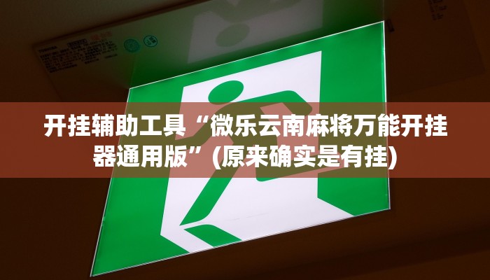 开挂辅助工具“微乐云南麻将万能开挂器通用版”(原来确实是有挂)