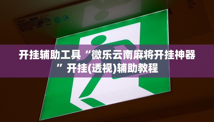 开挂辅助工具“微乐云南麻将开挂神器”开挂(透视)辅助教程