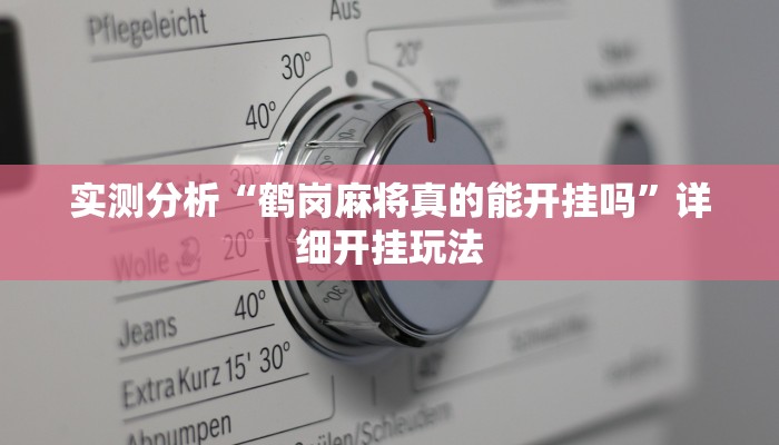 实测分析“鹤岗麻将真的能开挂吗”详细开挂玩法