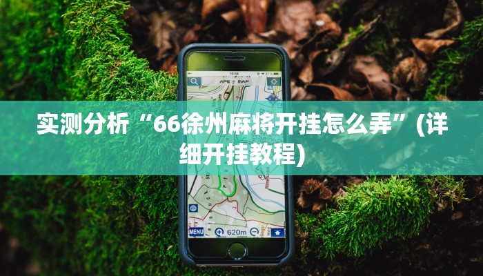 实测分析“66徐州麻将开挂怎么弄”(详细开挂教程)