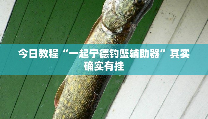 教程辅助“朱雀开心罗松可以开挂吗”开挂详细教程