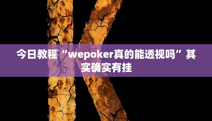 今日教程“wepoker真的能透视吗”其实确实有挂