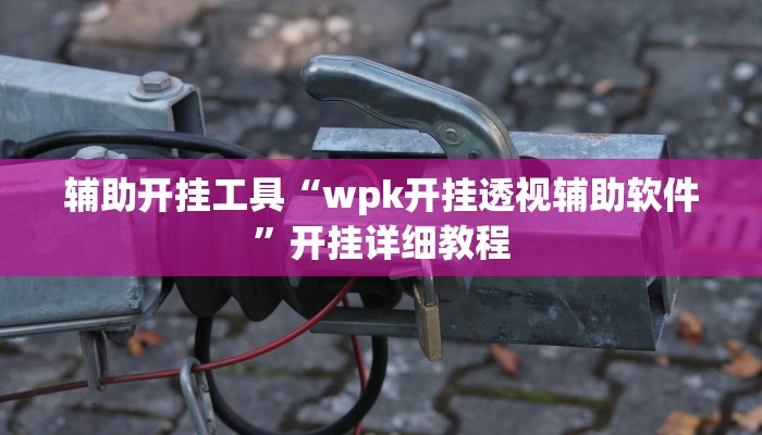 辅助开挂工具“wpk开挂透视辅助软件”开挂详细教程