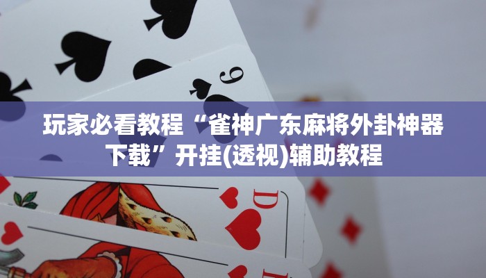 玩家必看教程“雀神广东麻将外卦神器下载”开挂(透视)辅助教程