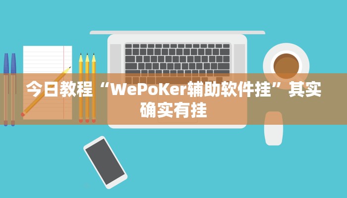 今日教程“WePoKer辅助软件挂”其实确实有挂