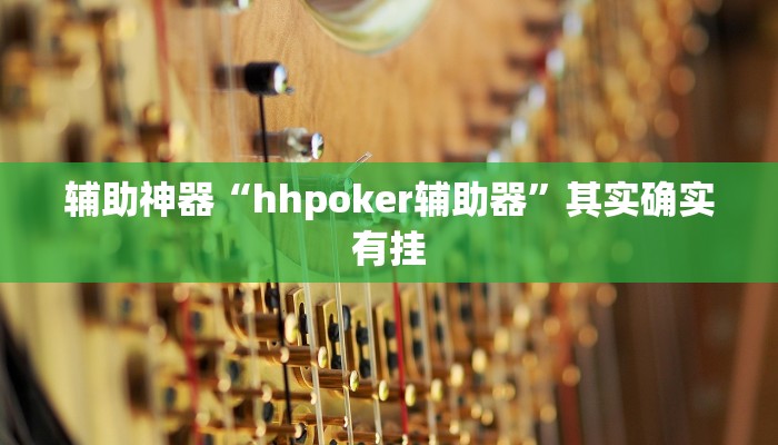 辅助神器“hhpoker辅助器”其实确实有挂
