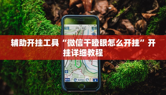 辅助开挂工具“微信干瞪眼怎么开挂”开挂详细教程