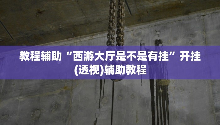 教程辅助“西游大厅是不是有挂”开挂(透视)辅助教程