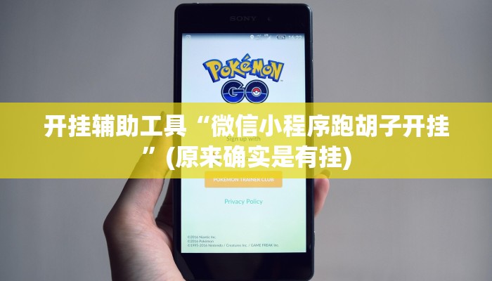 开挂辅助工具“微信小程序跑胡子开挂”(原来确实是有挂)